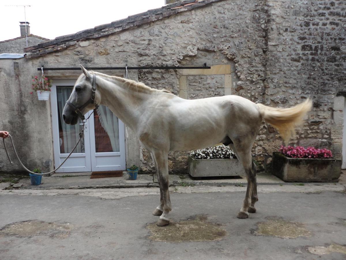 Gite Des Ecuries Du Seillery La Clisse Exterior photo