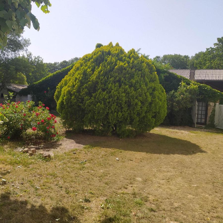 Gite Des Ecuries Du Seillery La Clisse Exterior photo
